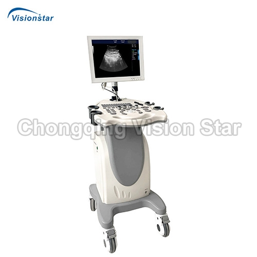 UBW370P Platform Black and White Ultrasound Scanner