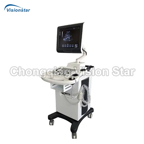 UBW8288 Trolley B/W Ultrasound Scanner